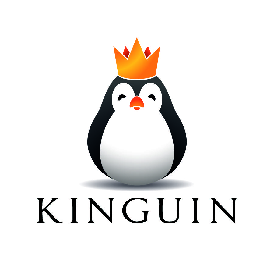 Kinguin jest nową firmą zrzeszoną w e-Izbie!